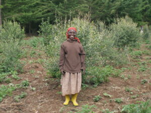 Farmer at Mount Kenya Reforestation Site, Credit WLT/Natalie Singleton.