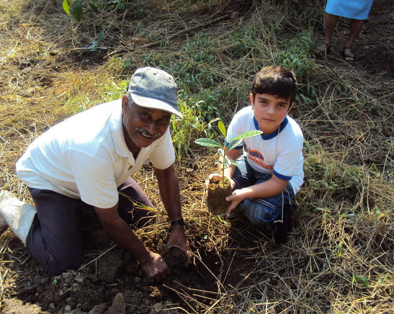 tree-planting-regua