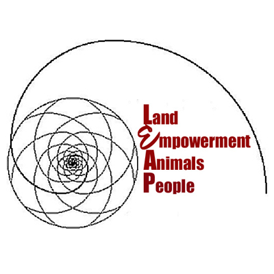 leap-spiral-logo