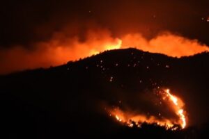 Fire in the Caucasus Wildlife Refuge