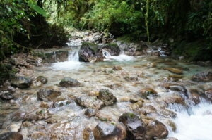 Stream within San Isidro, Guatemala, Credit Fundaeco.