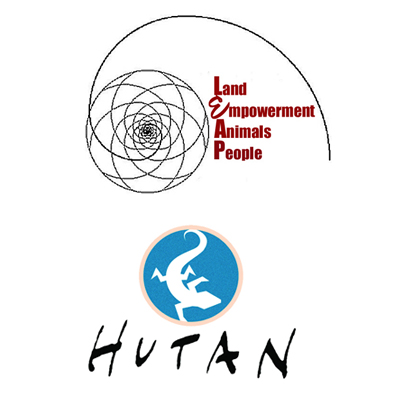 hutan-leap-spiral