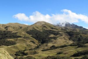 Community conservation of Montane Forest and Páramo, Peru