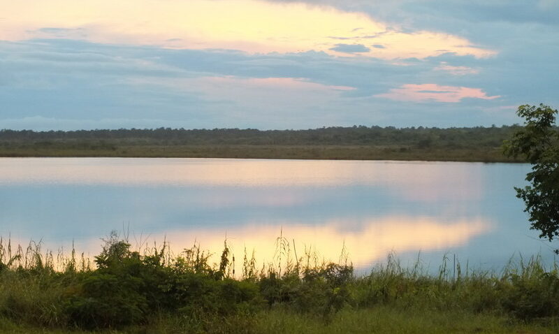 Early morning view over New River Lagoon, Hill Bank Field Station, RBCMA Credit Christina Ballinger