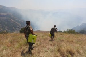 Firefighting in the Caucasian Mountains, Armenia