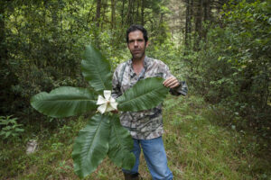 Roberto Pedraza Ruiz with magnolia species Magnolia rzedowskii
