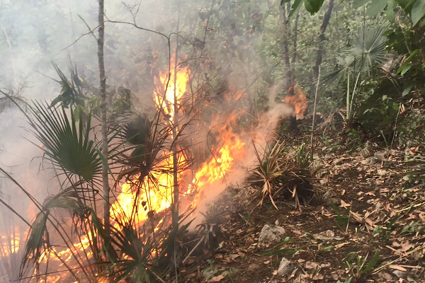 Forest fire in Sierra Gorda, Mexico