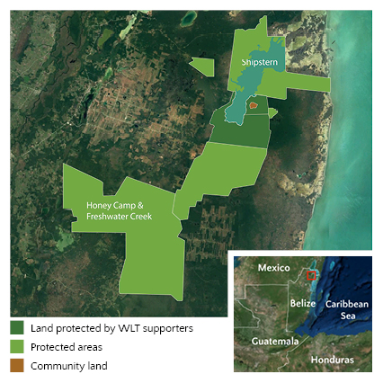 Belize web map with WLT supporter land 72 dpi