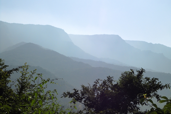 Western Ghats (Sangameshwar) Image: Jayant Sarnaik 