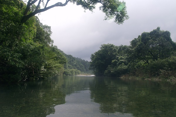 Forests of Khe Nuoc Trong, Vietnam