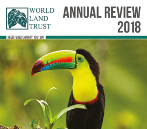 Annual Review 2018