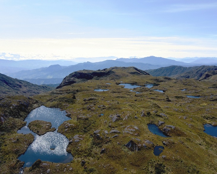 Paramo habitat of the Blue-throated Hillstar © NCE