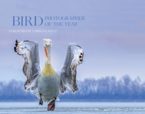 Bird Photographer of the Year cover
