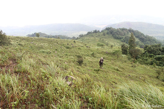 Photograph of the project area