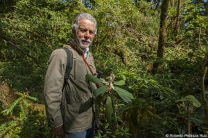 Roberto Pedraza Muñoz holding a new species of magnolia, discovered in the Sierra Gorda a few year’s ago.