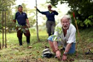 WLT Council Member Bill Oddie planting a tree in Malaysian Borneo