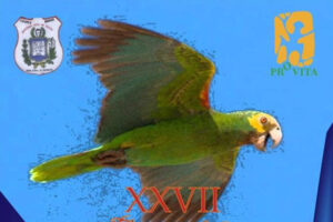 Endangered Yellow-shouldered Parrot celebrated on Margarita Island