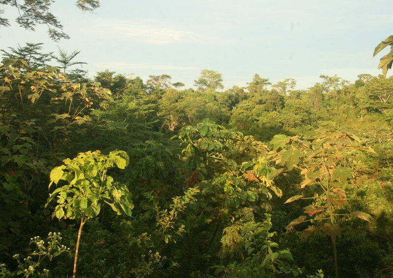 El Silencio ©Fundacion Biodiversida Colombia