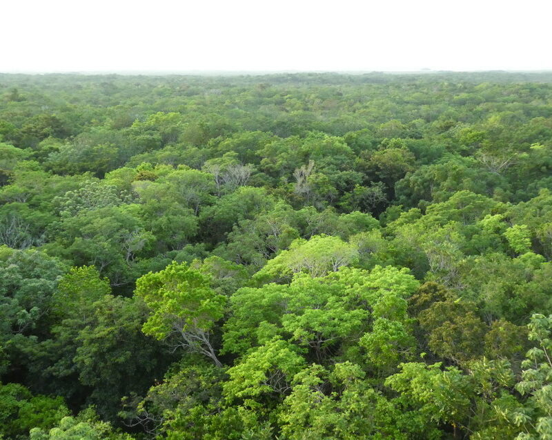 North-Eastern Biological Corridor, WLT/Richard Cuthbert