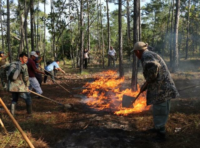 Firefighting training Belize ©Vladamir Rodriguez/Programme for Belize