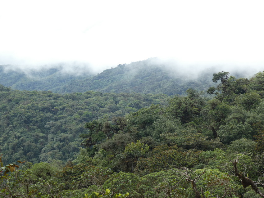 Barbacoas, middle Magdalena Valley © Richard Cuthbert/WLT