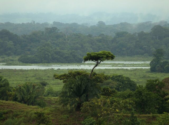 Barbacoas Wetlands ©Catalina Giraldo