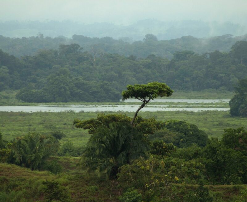 Barbacoas Wetlands ©Catalina Giraldo