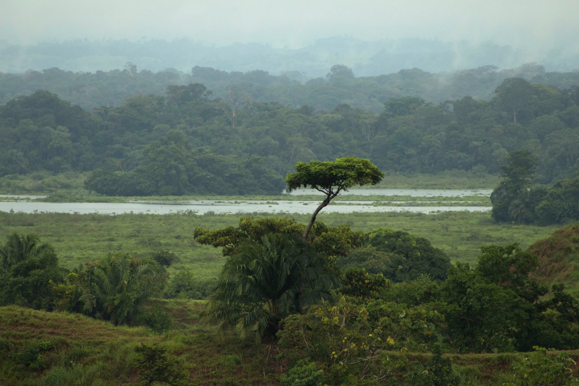 Barbacoas Wetlands ©Catalina Giraldo