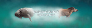Saving Magdalena