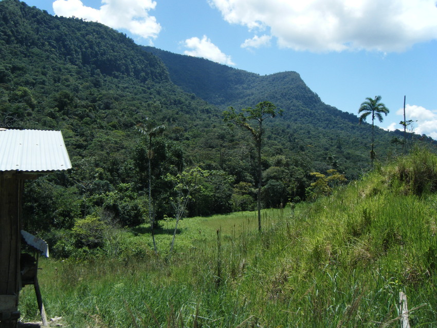 Nangaritza © NCEcuador