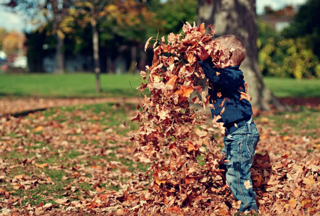 Child Playing With Leaves. Credit: Scott Webb on Unsplash