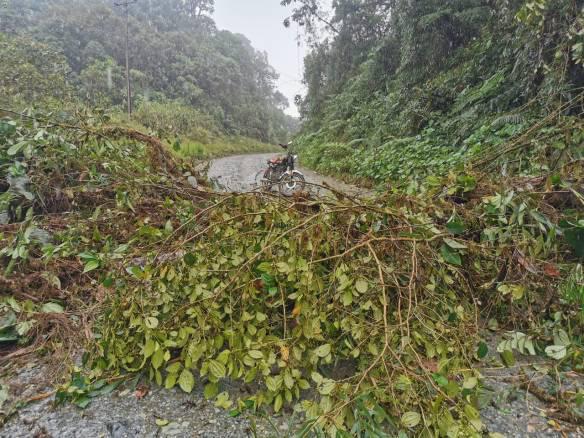  Road blocks put in place by local communities who want to deter people entering Fundacion EcoMinga’s Dracula Reserve. Credit: Daniel Valencia