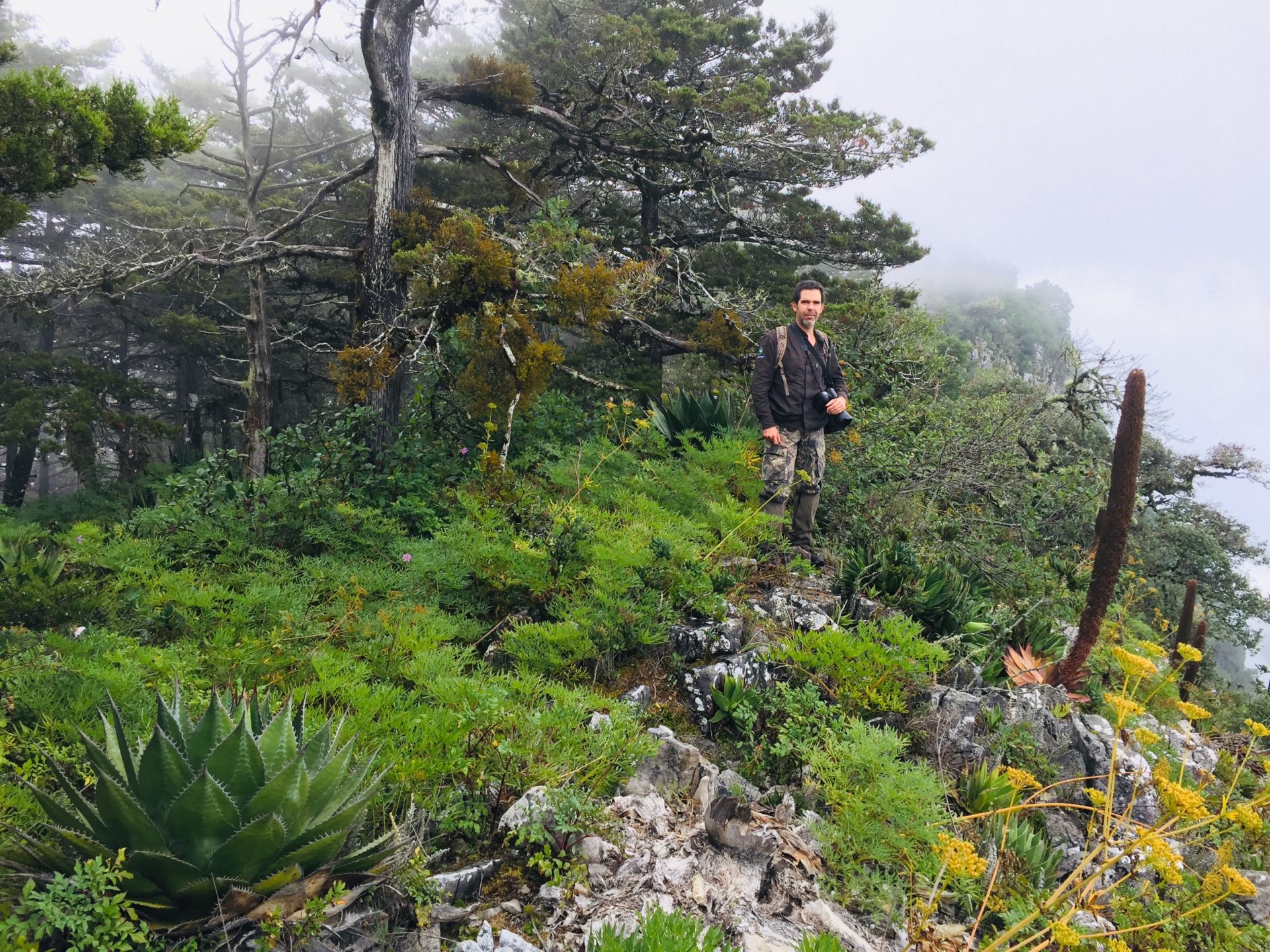 Roberto Pedraza Ruiz and Agave muxii  ©GESG