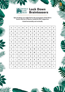 Quiz3 - Spot the Word
