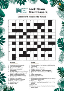Quiz4 - Crossword