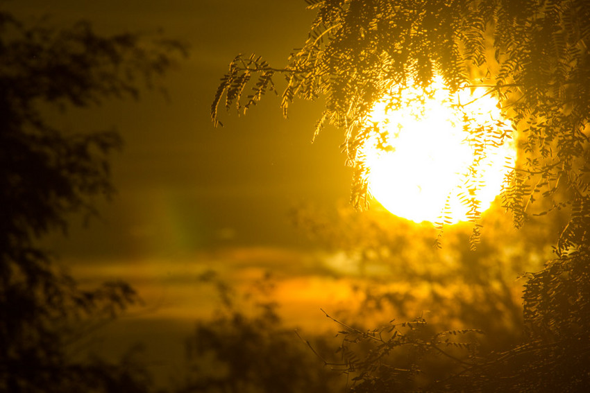 Sunset in Campo Iris Reserve, Paraguay. ©Tetsu Espósito / Yluux.com