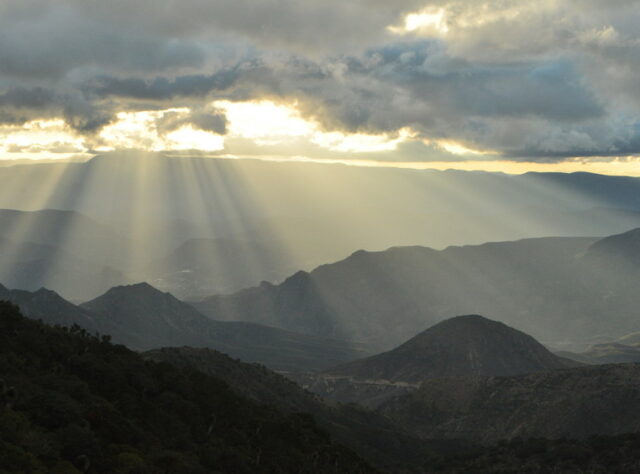 Sierra Gorda Biosphere Reserve. Credit: WLT/Nina Seale