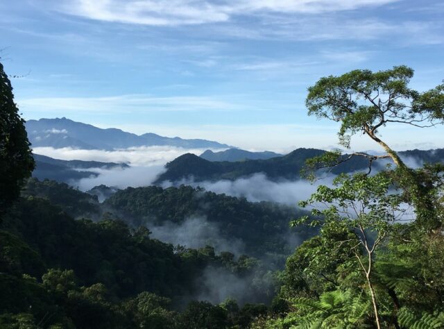 View over Khe Nuoc Trong ©Viet Nature/Pham Tuan Anh