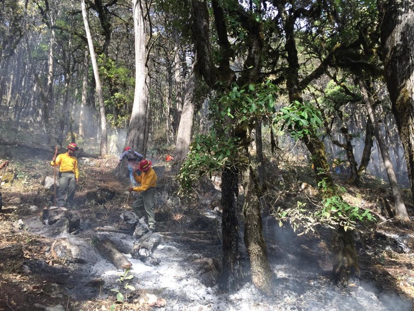 Firefighting at Sierra Gorda. Credit: GESG