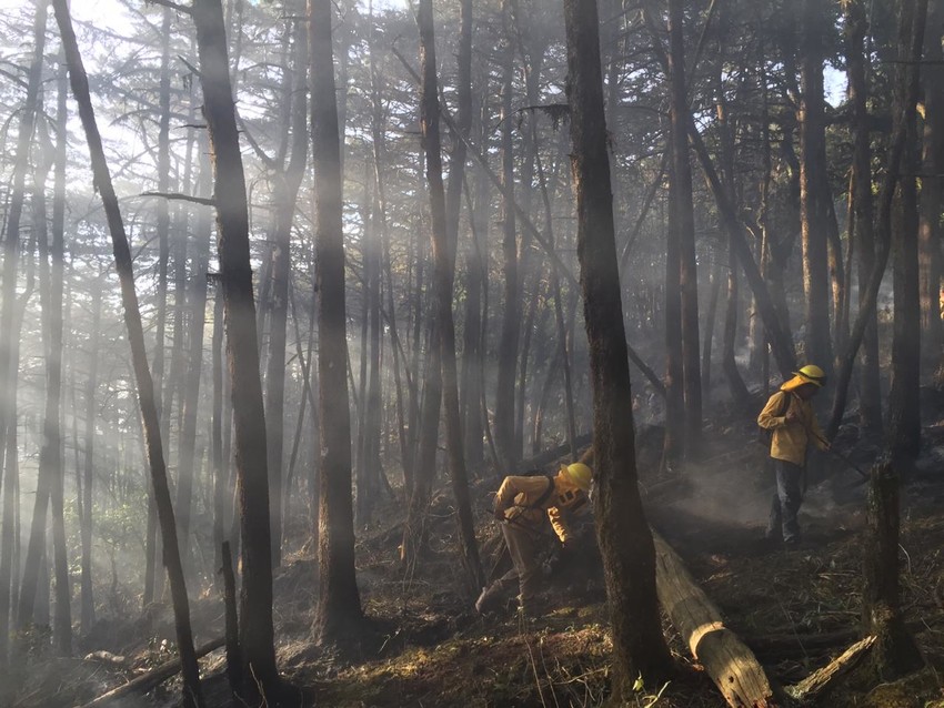 Firefighting at Sierra Gorda. Credit: GESG