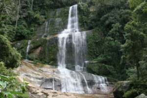 Waterfall on the Green Trail, REGUA. © Lee Dingain.