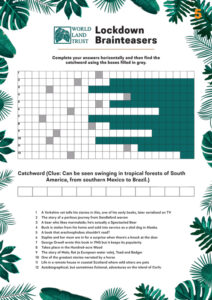 Brainteaser 5 – Click on the image to download the quiz.