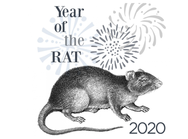 Year of the Rat, 2020 - Public Domain Pictures