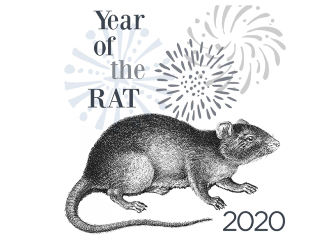 Rats Need Friends 2020 The Year of the Rat