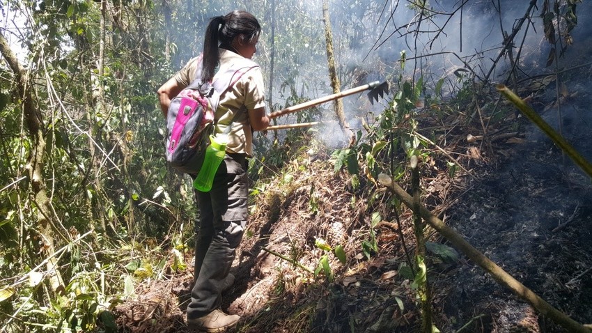 Keepers of the Wild sponsored Ranger, Angie Rodrigeuz Rivera prevents a fire from spreading in the Volcán Pacayita Reserve. Credit: AESMO.