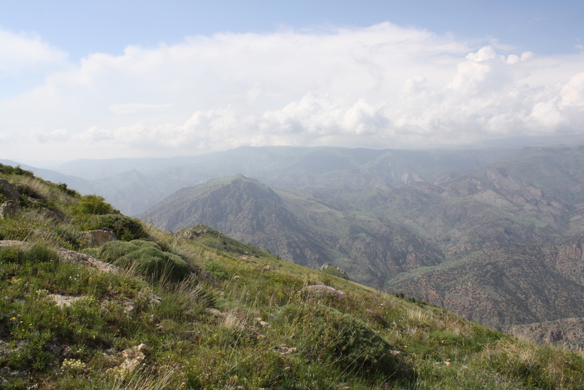 Caucasus Wildlife Refuge. Credit: Mary McEvoy