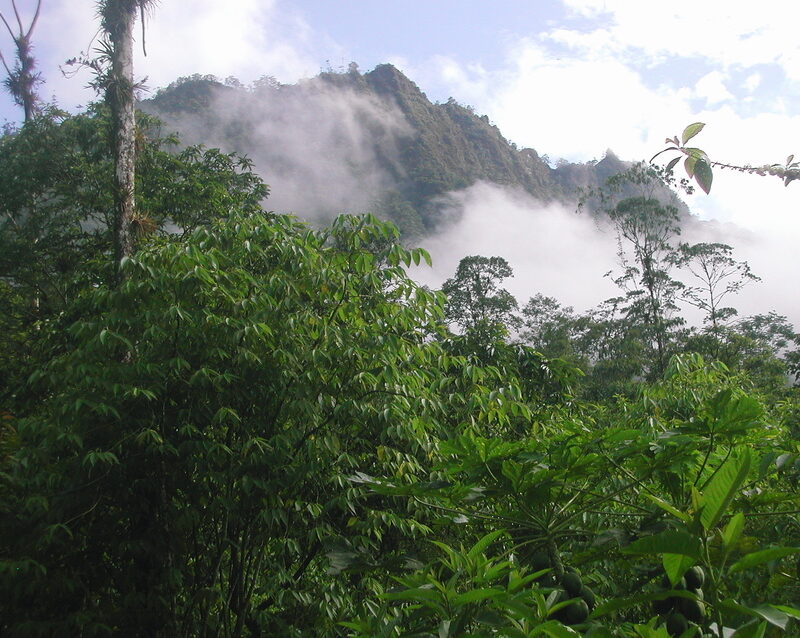 View of Buenaventura Reserve, Ecuador. © Nigel Simpson