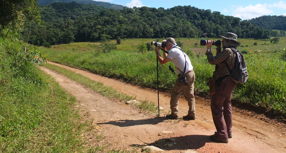 Alan Martin and Sue Healey, photographing butterflies. Credit: Neda Berardone.