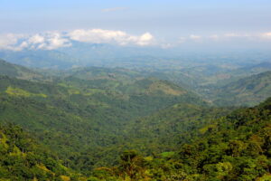 A view of Buenaventura Reserve, Ecuador ©Andrew Smiley