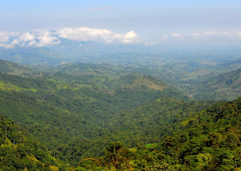 A view of Buenaventura Reserve, Ecuador ©Andrew Smiley